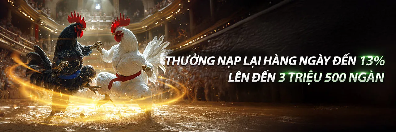 Đá Gà Trực Tuyến Hấp Dẫn tại Vuaclub Code